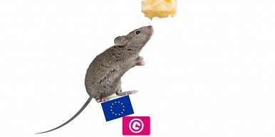 EU Copyright Update: news snippets and user-posted content