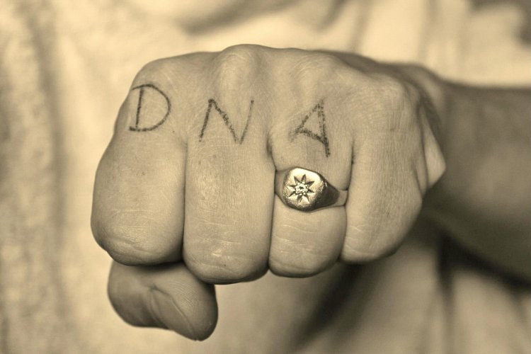 DNA of an NDA part 2